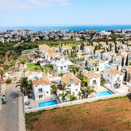 Cherry Palm Protarász