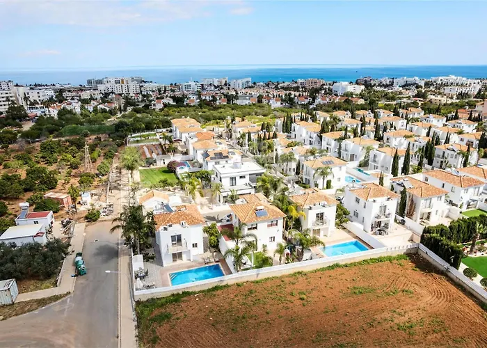 Cherry Palm פרוטאראס